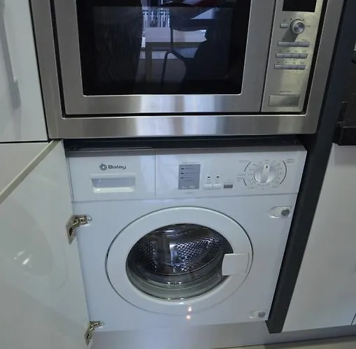 De Hofnar דירה *