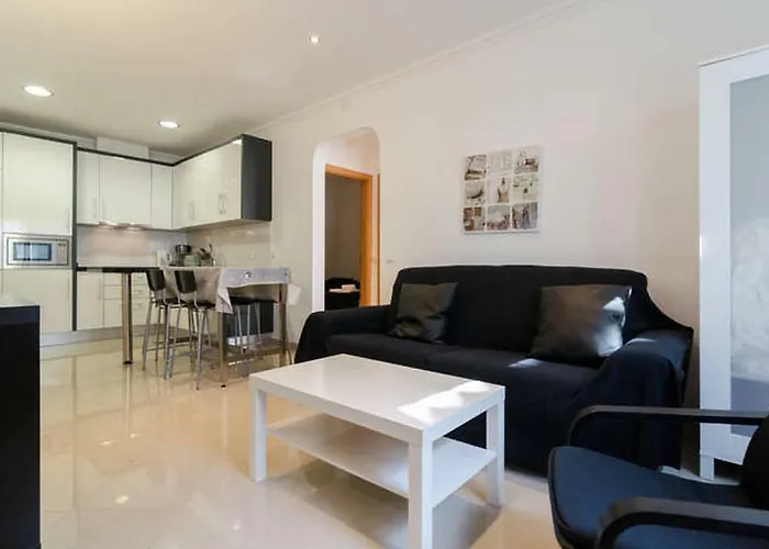 De Hofnar דירה *