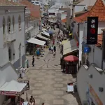 De Hofnar דירה